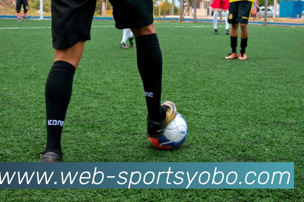 多媒体互动体验